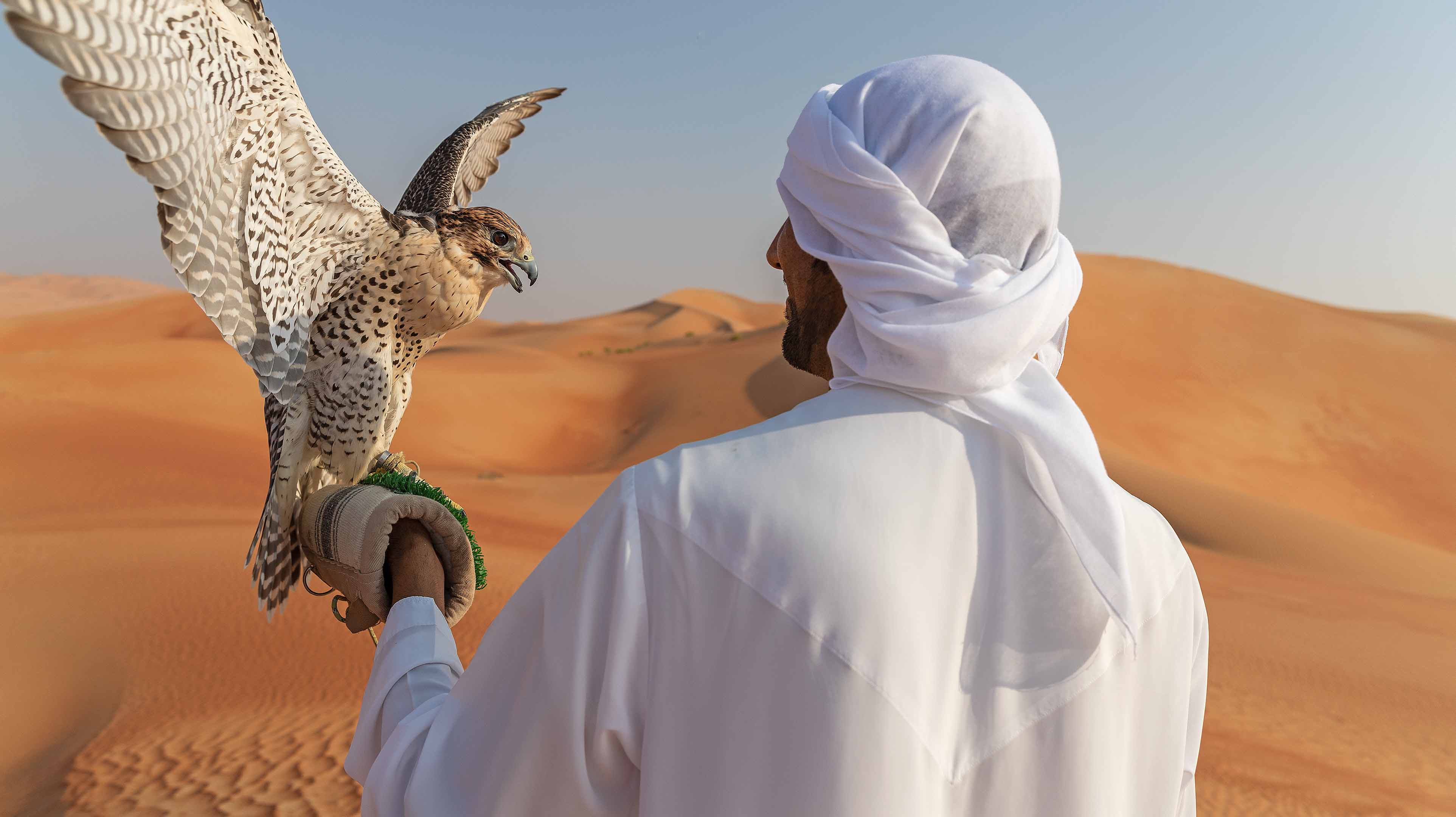 CAMEL TOUR (With Falcon)