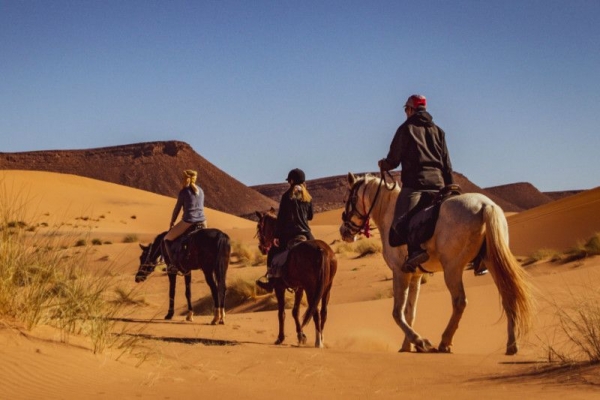 HORSE RIDING TOUR image 1